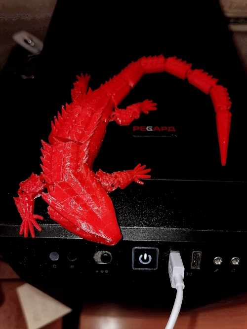 Красноглазый крокодиловый сцинк